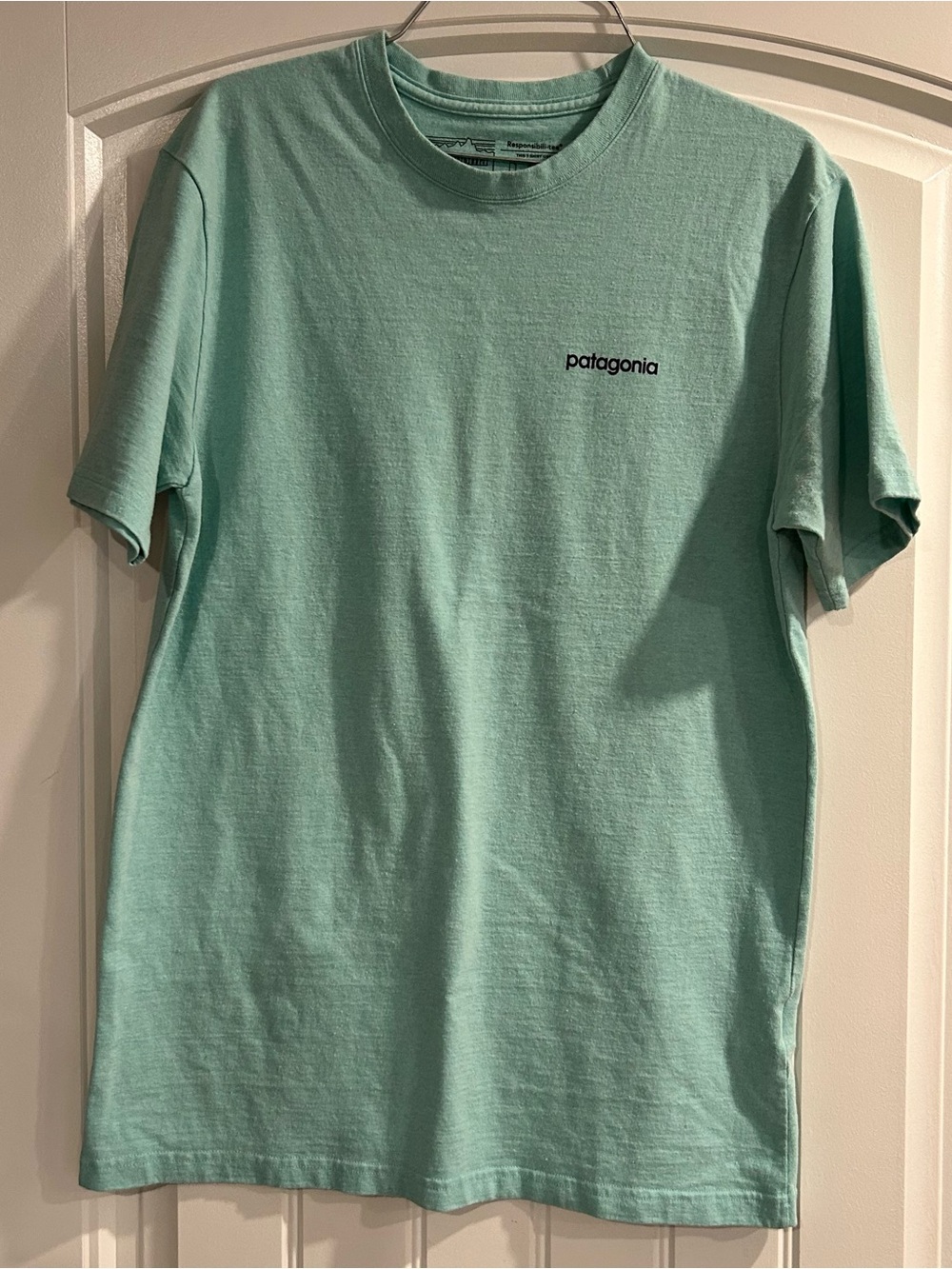 Patagonia Short-Sleeve Crew Tee in Mint Green
